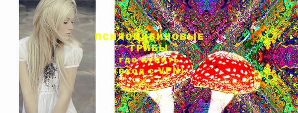 тгк Балахна